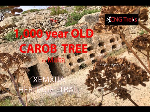 CNG Treks - 14/2020 ... Xemxija Heritage Trail (Part 1)