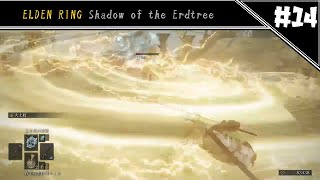 強モブほど復活するやつ　[ELDEN RING DLC#14]