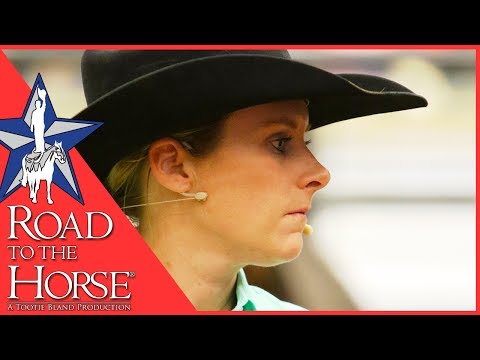 Road to the Horse 2017 - Extra Footage - Sarah Dawson Interview