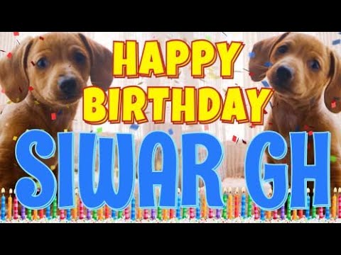 Happy Birthday Siwar Gh! ( Funny Talking Dogs ) What Is Free On My Birthday