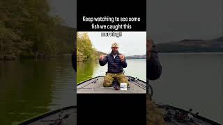 Download lagu Boost Your Topwater Strikes! ๐ฅ Drop a like! #bassfishingtips  instagram @roseroaranglers mp3 Download lagu Boost Your Topwater Strikes! ๐ฅ Drop a like! #bassfishingtips  instagram @roseroaranglers mp3