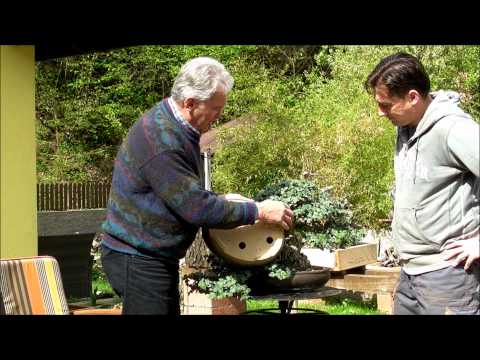 INTERNATIONAL BONSAI ACADEMY with Walter Pall - Episode IX - Hedera pot discussion