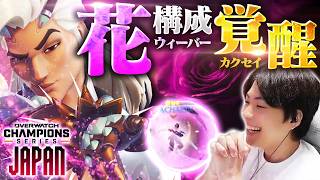 【プロと観る】競技でついに『花覚醒』、HAMSEEDの強さに興奮するNico【オーバーウォッチ/OW】