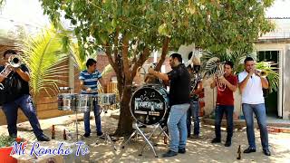 Mis Dos Vicios | Banda La Nocupetarense