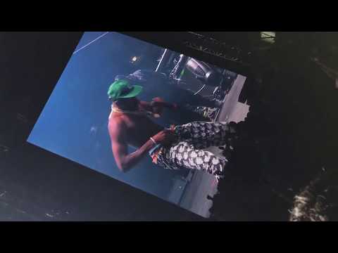 A$AP Rocky Ft. Famous Dex, Tyler The Creater, G Eazy, Lil Yachty (Live at Camp Flog Gnaw 2017)