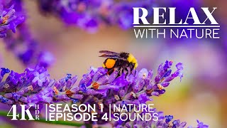 Most Beautiful Places in the World 4K - Scenic Film + Nature Sounds - RELAX WITH NATURE - Episode 4