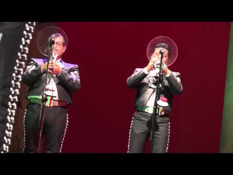 Huapango de Moncayo en vivo Mariachi Vargas de Tecalitlan