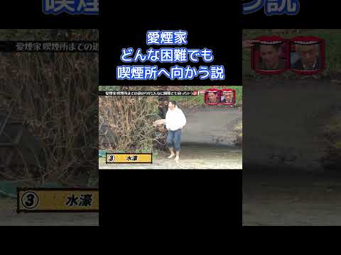 愛煙家どんな困難でも喫煙所へ向かう説 #水曜日のダウンタウン