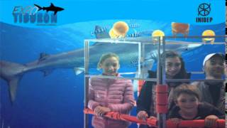 DIA 2 Expo Tiburon280