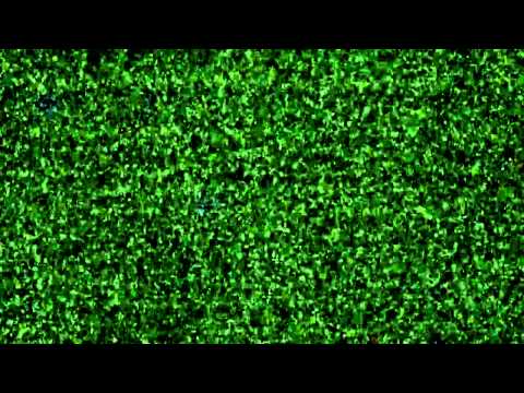 اشتباكات بين عناصر لواء اليرموك وقوات النظام في بصرى الشام