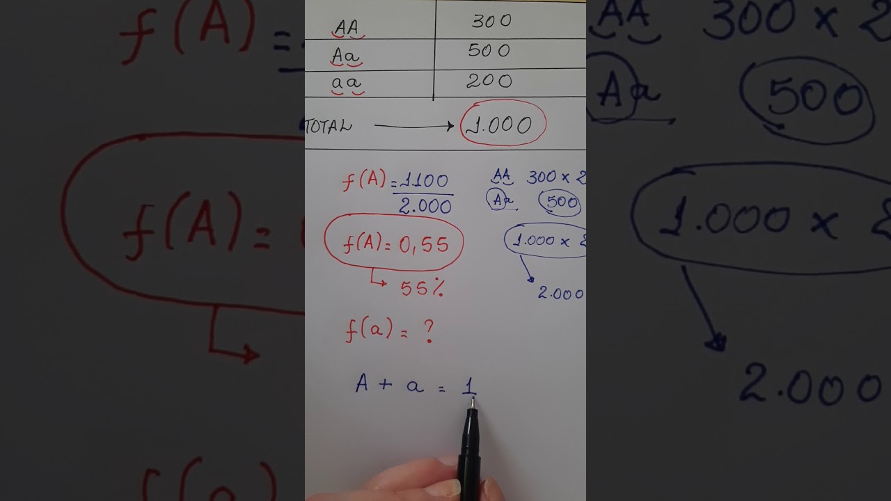 Frequências alélicas e genotípicas