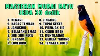 Download lagu 🔴 MASTERAN MURAI BATU GACOR FULL ISIAN TERBAIK JEDA 30 DETIK SEPERTI BURUNG HIDUP || 835 mp3 Download lagu 🔴 MASTERAN MURAI BATU GACOR FULL ISIAN TERBAIK JEDA 30 DETIK SEPERTI BURUNG HIDUP || 835 mp3