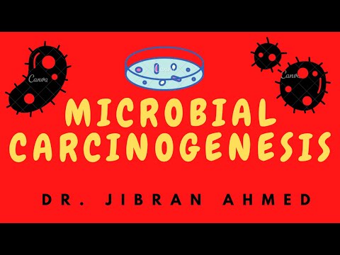 NEOPLASIA II PART 1 II CHAPTER 7 II ROBBINS 10TH EDITION II PATHOLOGY LECTURES II