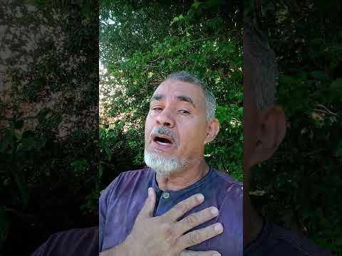 bom mesmo é adorar ao senhor campo mourão Paraná Brasil