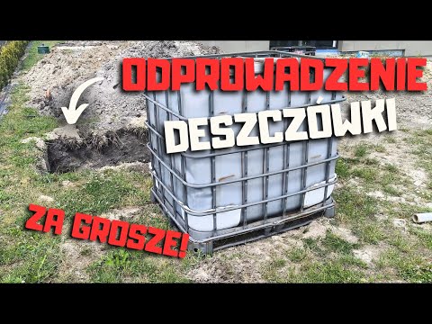 A Mauser Absorbent Well! Cheap DIY Rainwater Drainage
