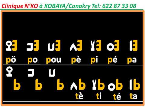 FORMATION MOUSSA DIALLO Vidéo avec son