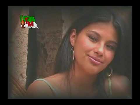 Sin ti igual podré vivir - El Negro Palma