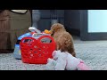 Miniature Poodle dogs for sale: Lisa - Video 1