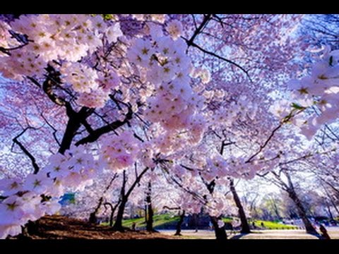 The magic spring in Prague