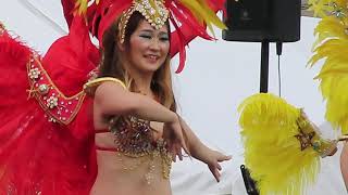 さんまサンバMVI 0226