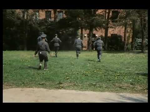 Alkakaa vetää ku majuri käskee