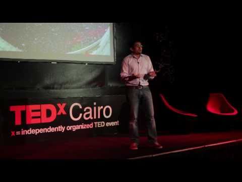 Inside the Egyptian revolution