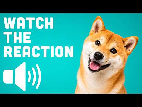 Watch the Reaction: These Sounds Stop Dogs Instantly 🐶