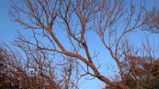 The First Touch - A winter sunrise in Tasmania