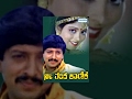 Nee Thanda Kanike Kannada Full Movie Vishnuvardhan Movies Girish Karnad Kannada Movies Full