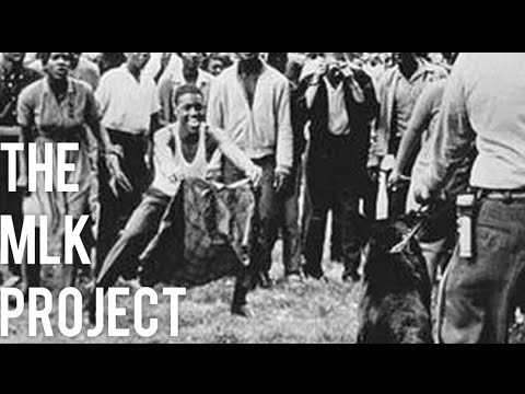 THE MLK PROJECT - TRAILER 1