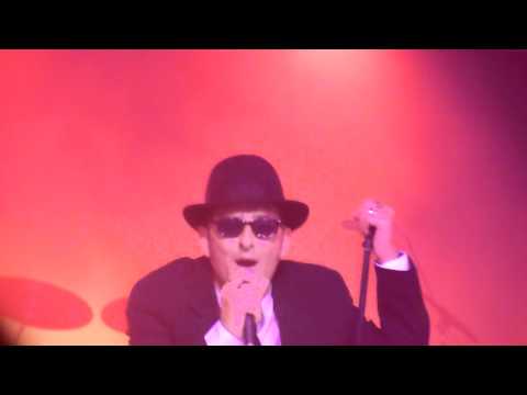 Saffron Walden Blues Brothers - Too Hard to Handle