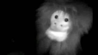 Carpathian Forest - It&#39;s darker than you think