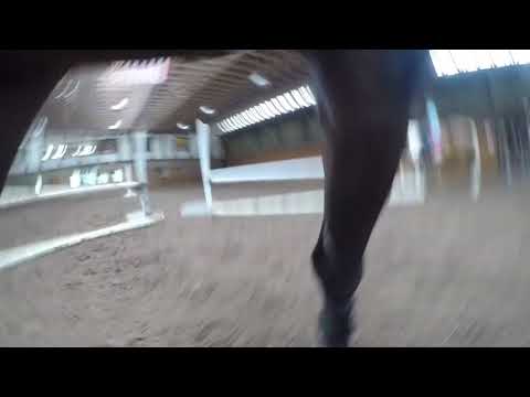 Go pro on the girth jumping