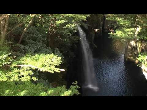 Gott ist gut allezeit, Lobpreis