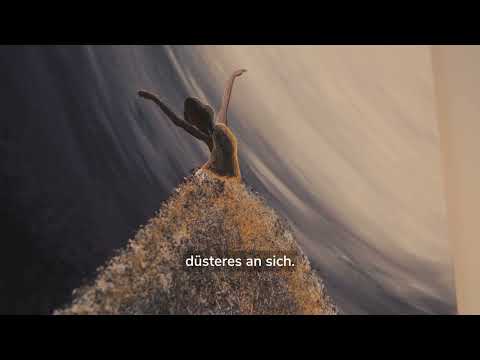 Eine Minute Kunst - Ramona Asche - Tanz in das Licht