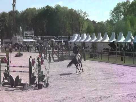 Dasado Z, 6yr old gelding by Diarado x Carthago