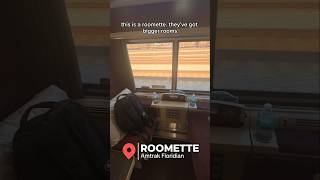I Took a 20 Hour Train Ride to my Next Cruise onboard the Amtrak Floridian in a Roomette #Cruise