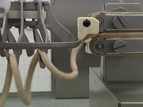 Handtmann-Maschinenfabrik-PLH-216-natural-casing