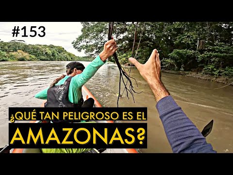 Is paddling in the Amazon risky? 😬 | Puerto Misahuallí, Ecuador #153 - Chez Team