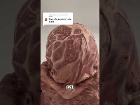 Off with the mask #facereveal #joke #mask #funny #humor #laughter #characterization #fiction #voi...