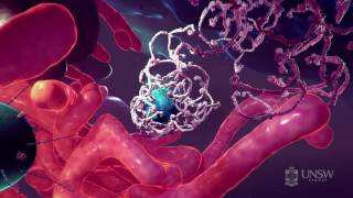 Nanoparticle – Dostarczanie leków na bazie nanocząsteczek w walce z rakiem
