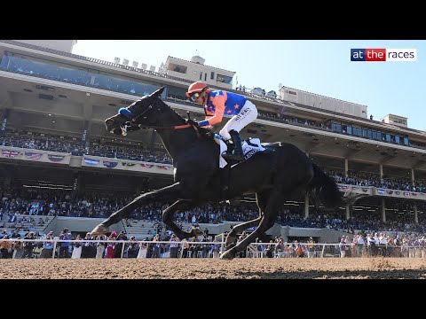 SPLENDORA bolts up in the Breeders' Cup Filly & Mare Sprint!⚡️| Race replay