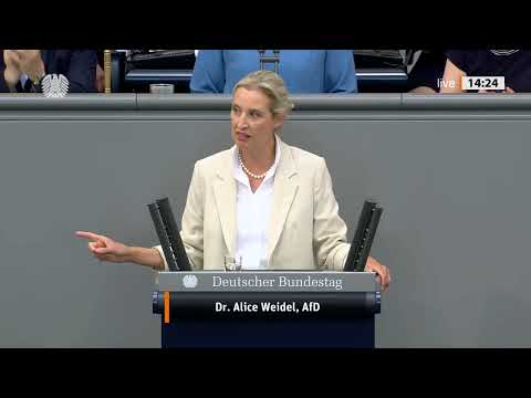 "Migrantengeld für Syrer so hoch wie Gesamtausgaben der Bundespolizei!" - Alice Weidel