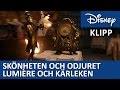 Lumières Stora Plan Skönheten Och Odjuret