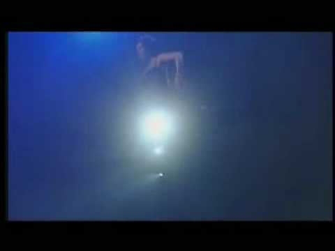 Who is Sarah Brightman??