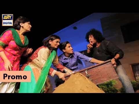 Dilli Walay Dularay Babu Episode 53 ( Promo ) - ARY Digital Drama