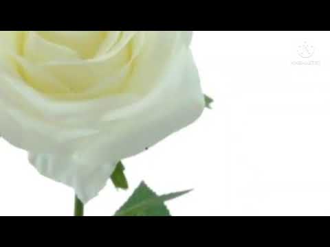 Mario Mazza acuérdate mujer versión original