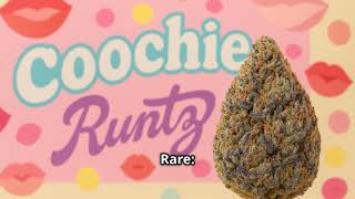 You’ve Never Seen Runtz Strains Like These!!!