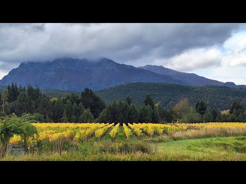 Visita a las bodegas de la R. P. 71, Trevelin,  Chubut Patagonia 🇦🇷. 