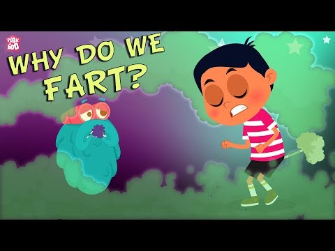 Why Do We Fart
